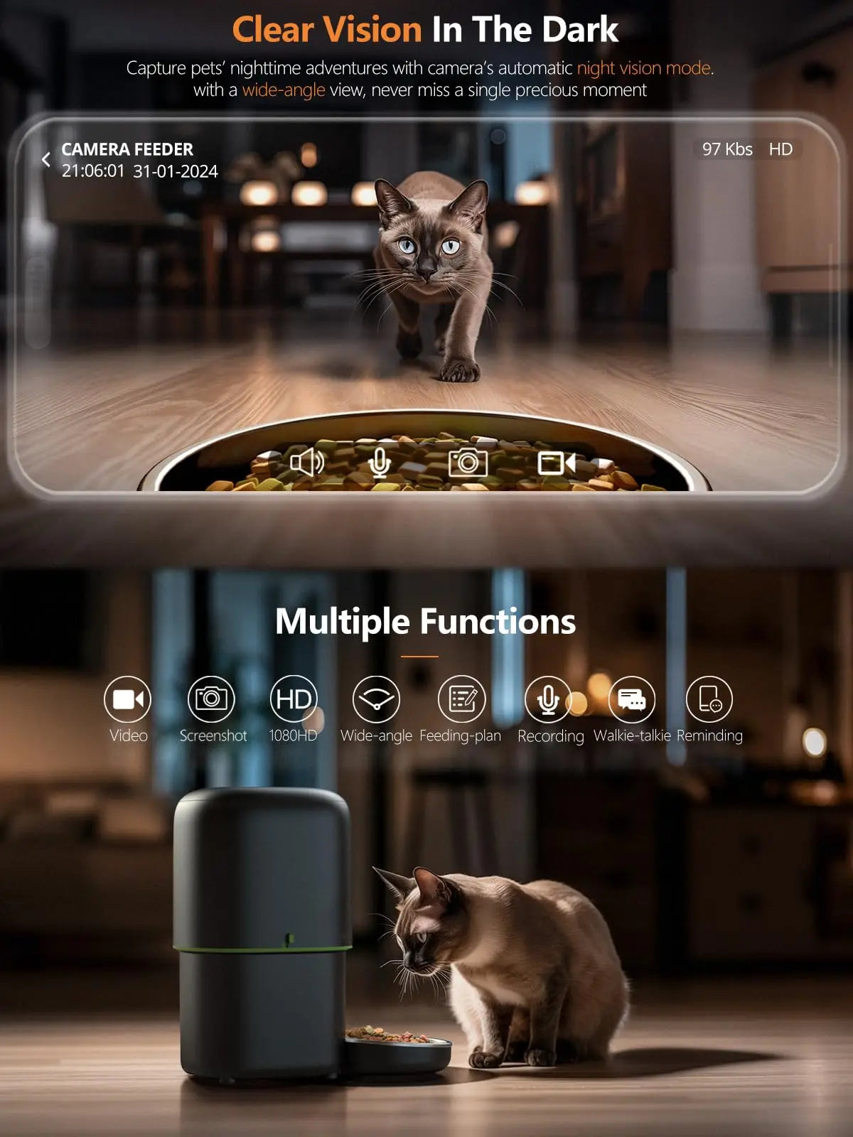 Feed Your Pet and Watch Them from Anywhere in the World!